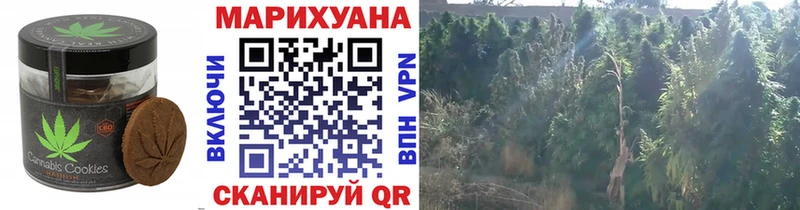 omg как войти  Комсомольск  Печенье с ТГК конопля 