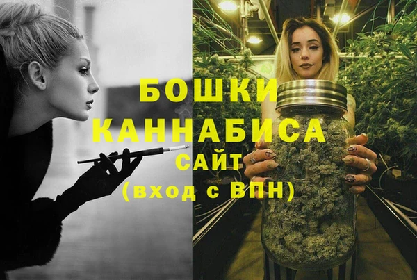 бошки Алзамай