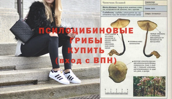 скорость Алексеевка