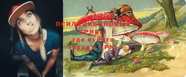 бошки Алзамай
