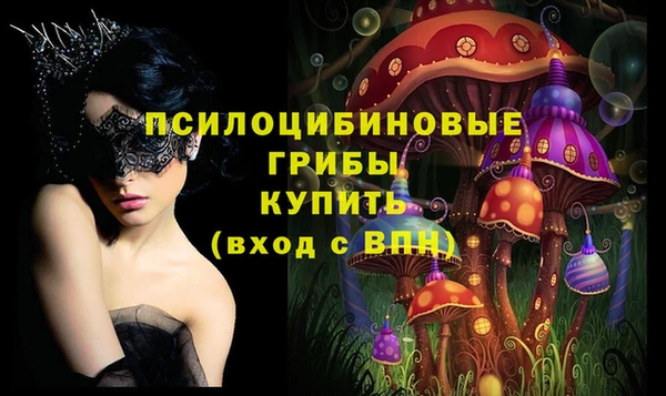 spice Протвино