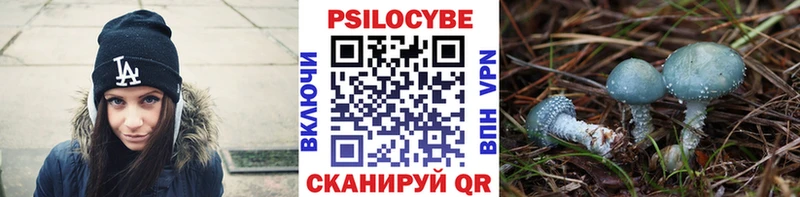 Псилоцибиновые грибы мицелий  блэк спрут онион  Комсомольск  где купить наркоту 